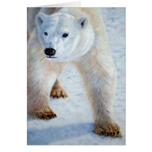 Oso polar (Frente)