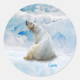 Oso polar 2 - Pegatinas de sobres