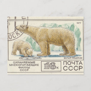 Oso polar con sello postal soviético