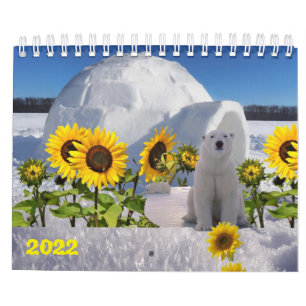 Oso polar del calendario 2022