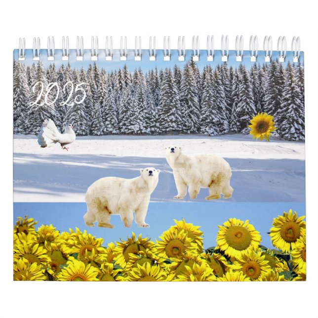 Oso polar del calendario 2025 (Tapa)
