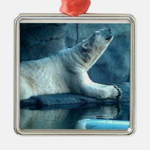 Oso polar en el ornamento del rezo
