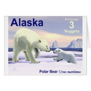 Oso Polar - Mama Nose Best