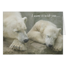 Oso Polar quiero desearte......