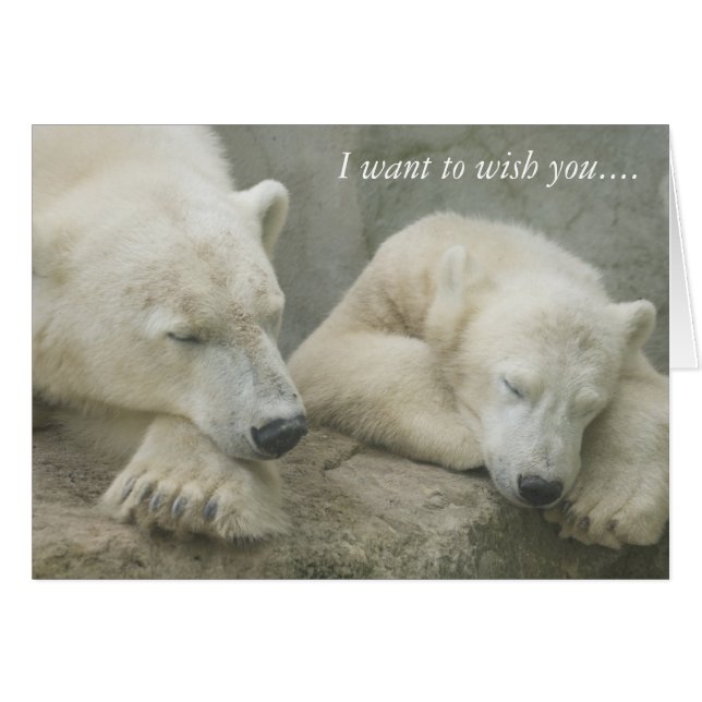 Oso Polar quiero desearte...... (Anverso (Horizontal))