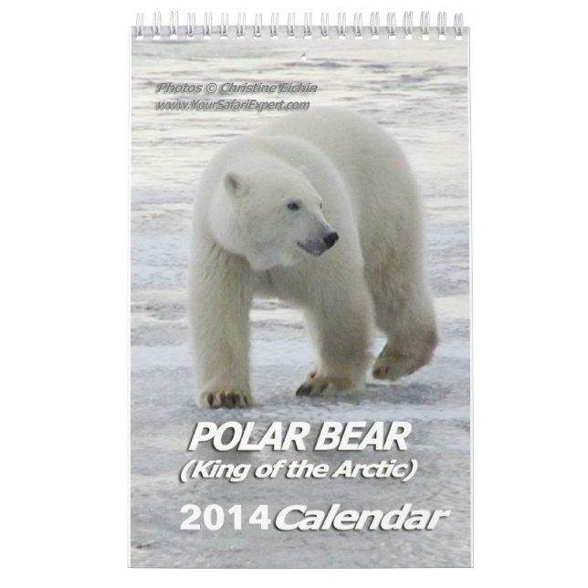 OSO POLAR Rey del Calendario Ártico 2014 1-Pg. (Tapa)