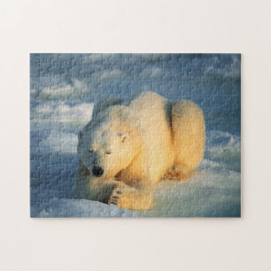Oso Polar Tomando el Sol, Rompecabezas