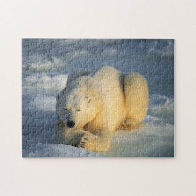 Oso Polar Tomando el Sol, Rompecabezas (Horizontal)