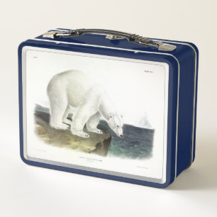 Oso Polar (Ursus Maritimus), Cuadrupias de Audubon