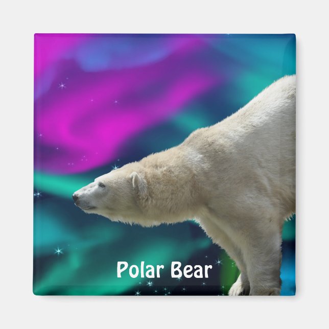 Oso Polar y Aurora, imán de arte de vida salvaje e (Frente)