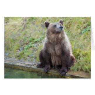 Oso: "¿Qué es lo que debe ser?"