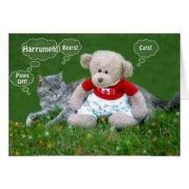 Oso y gato