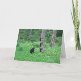 Oso y tres Cubs - tarjetas - Reitzner