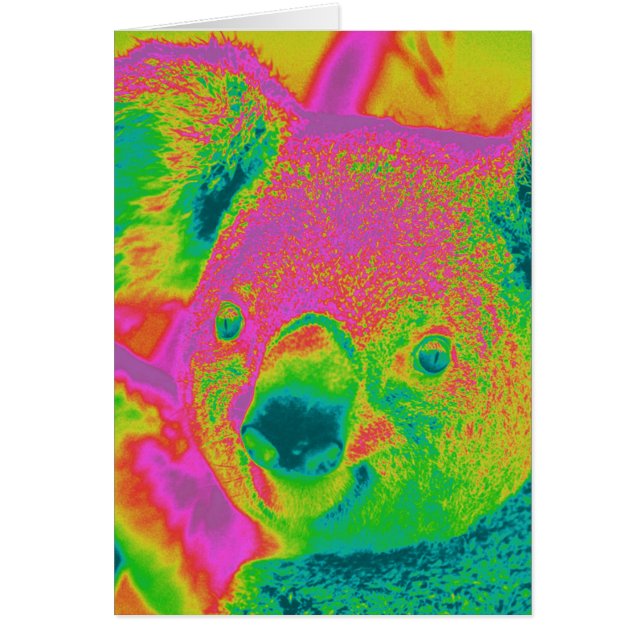 osos de koala fluorescente (Frente)