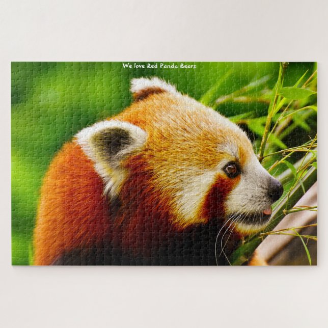 Osos De Panda Rojo. Rompecabezas (Horizontal)