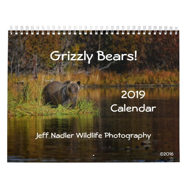 Osos grizzly - calendario de pared 2019 (Tapa)