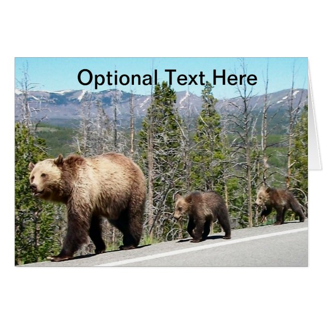 Osos grizzly de Yellowstone (Anverso (Horizontal))
