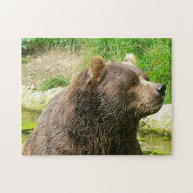 Osos Kodiak. Rompecabezas (Horizontal)