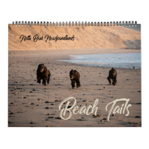 Osos Notta Newfoundlands Calendario de playa de Or