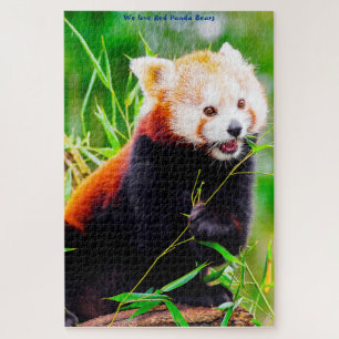 Osos Panda Rojos. Rompecabezas