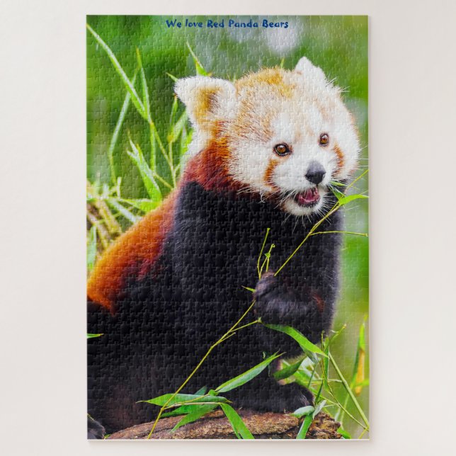 Osos Panda Rojos. Rompecabezas (Vertical)