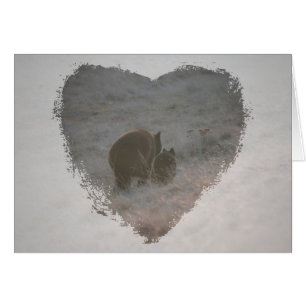 Osos que caminan en la puesta del sol