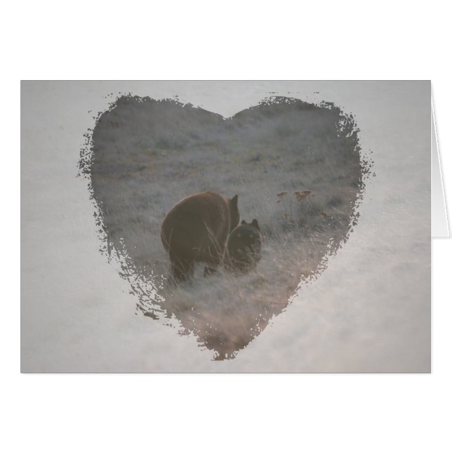 Osos que caminan en la puesta del sol (Anverso (Horizontal))