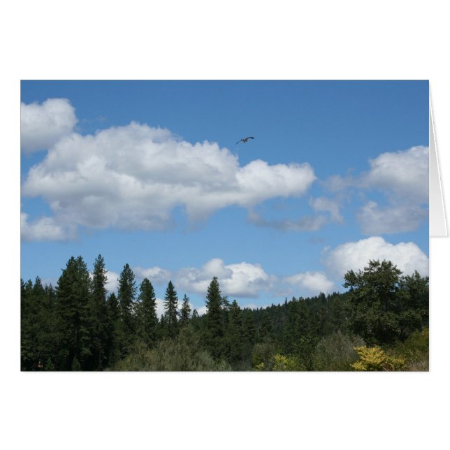 Osprey (Anverso (Horizontal))