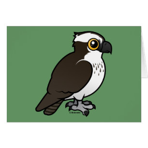 Osprey lindo