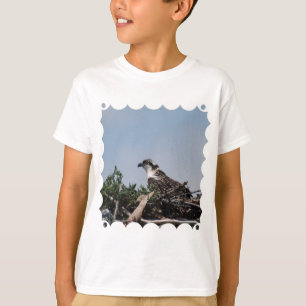 Osprey que se sienta en la camiseta de la juventud