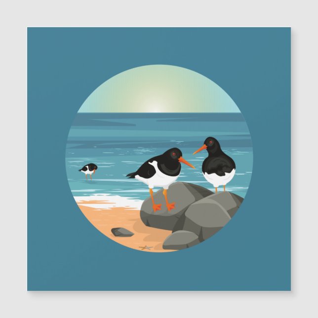 Ostrero en la costa (Anverso)