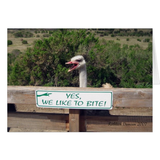 Ostrich (Anverso (Horizontal))