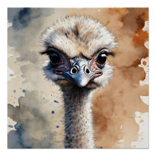 Ostrich no 1 Poster brillante