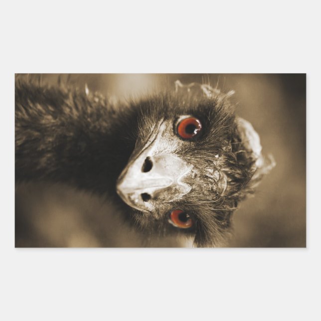 Ostriches Look pegatinas (Anverso)