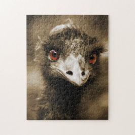 Ostriches Mira el rompecabezas de las fotos