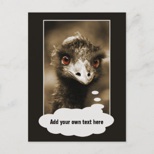 Ostriches Mira postal de texto personalizado