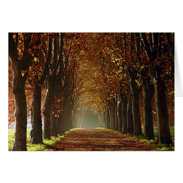 otoño (Anverso (Horizontal))