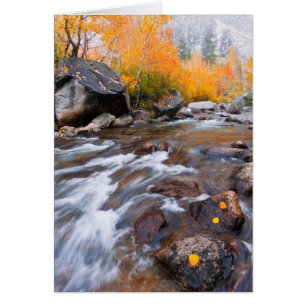 Otoño a lo largo de Bishop Creek, CA