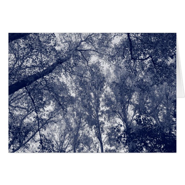 Otoño Azul (Anverso (Horizontal))