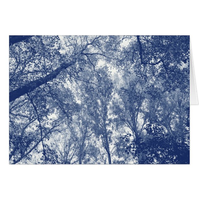 Otoño azul - Efecto cianotipio (Anverso (Horizontal))