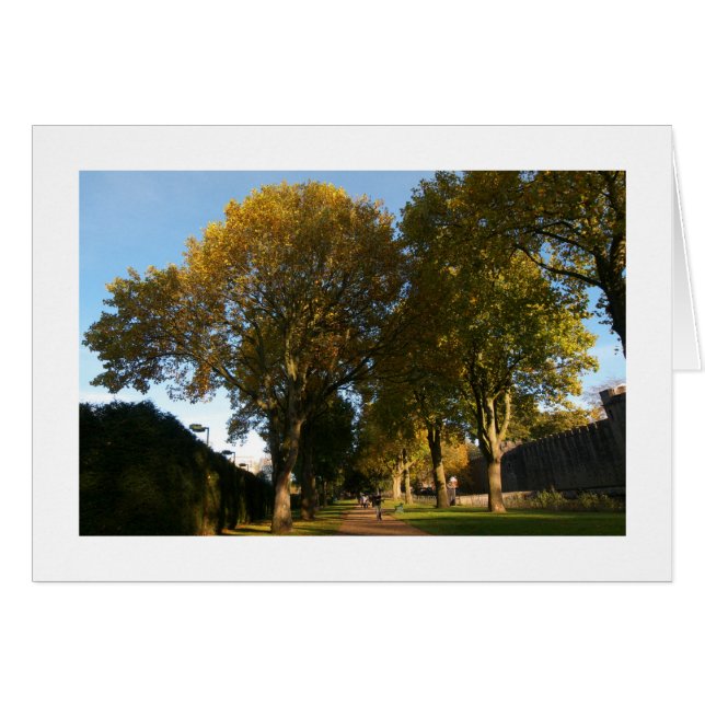 Otoño, Bute Park, Cardiff (Bordeado) (Anverso (Horizontal))