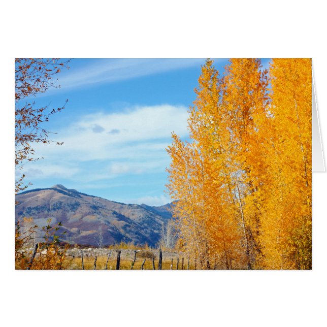 Otoño de La Platas (Anverso (Horizontal))