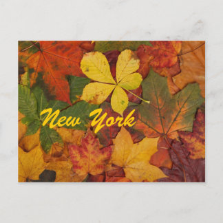 Otoño de Nueva York deja postal
