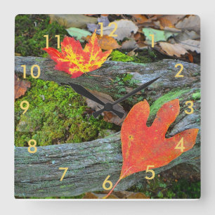 Otoño deja el reloj de pared
