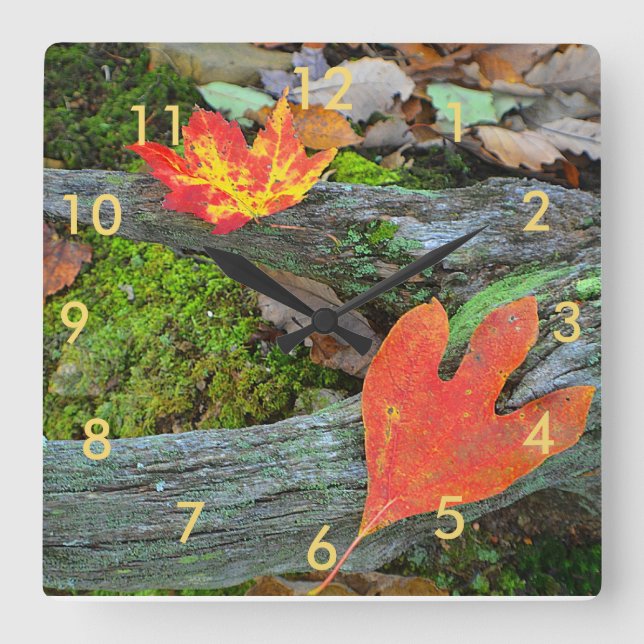 Otoño deja el reloj de pared (Anverso)