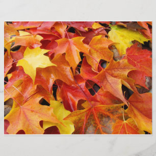 Otoño deja papel Naranja volante rojo amarillo