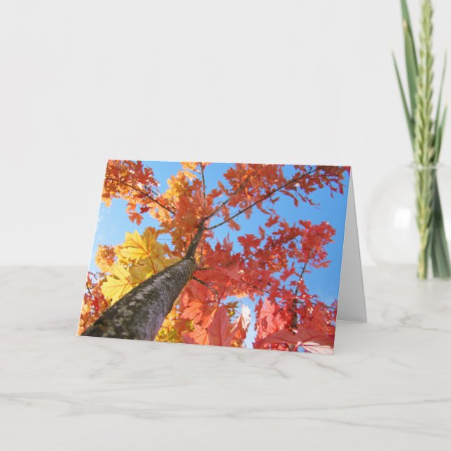 Otoño deja tarjetas de felicitación colorido árbol (Anverso)