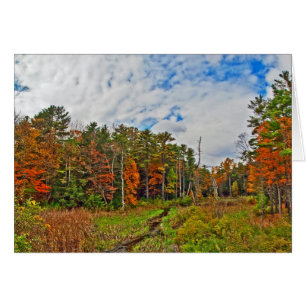 Otoño del Noreste