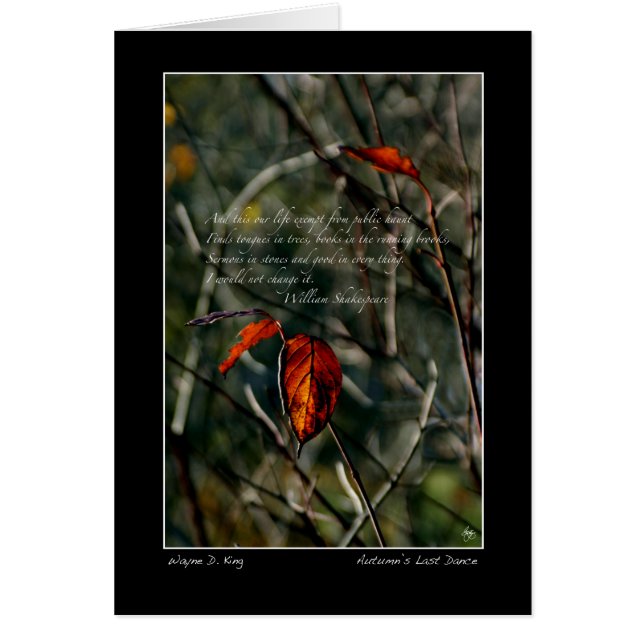 Otoño El último baile con Shakespeare (Frente)