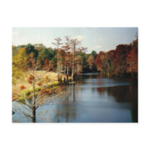 Otoño en el Bayou Tarjeta postal